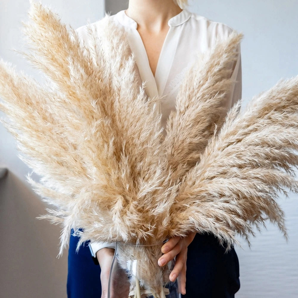 Article comforme à l'image, créez votre style en choisissant votre taille, couleur pour une satifaction parfaite!